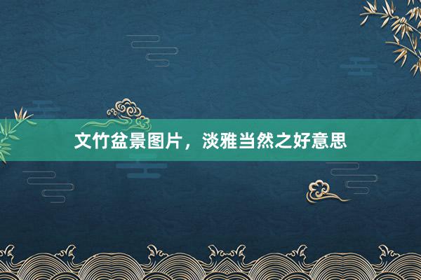 文竹盆景图片，淡雅当然之好意思