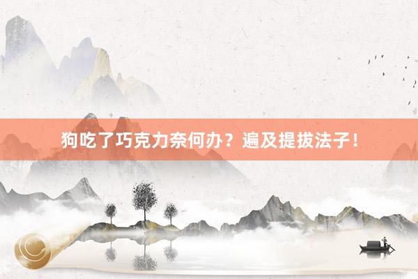 狗吃了巧克力奈何办？遍及提拔法子！